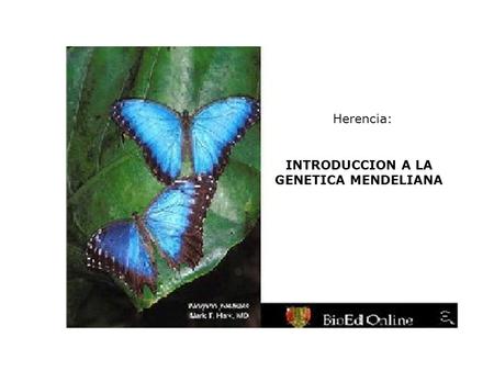Herencia: INTRODUCCION A LA GENETICA MENDELIANA. Modelo combinado de la herencia vs modelo de partículas de la herencia Modelo combinado: La descendencia.