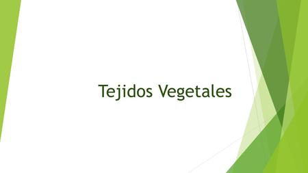 Tejidos Vegetales.