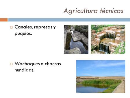 Agricultura técnicas Canales, represas y puquios.