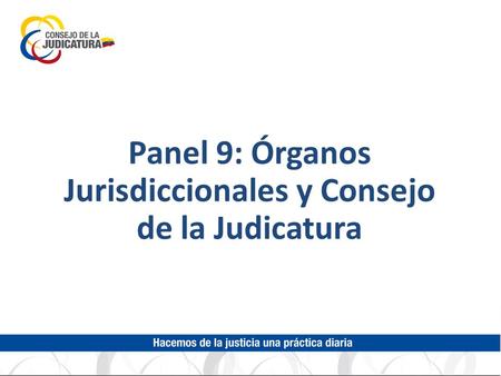 Panel 9: Órganos Jurisdiccionales y Consejo de la Judicatura.