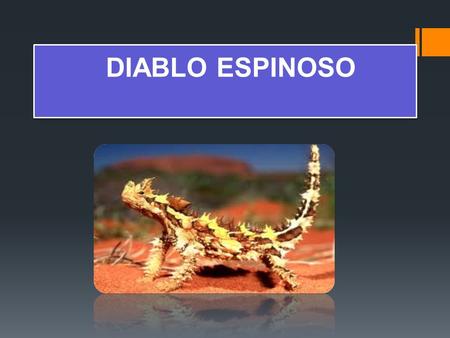 DIABLO ESPINOSO.