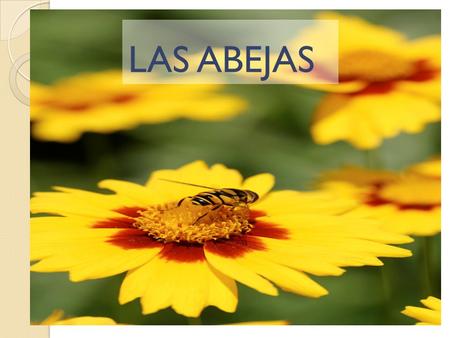 LAS ABEJAS.