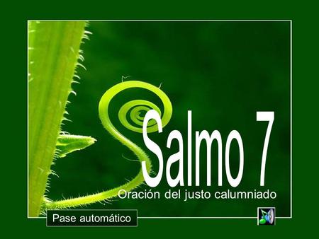 Oración del justo calumniado