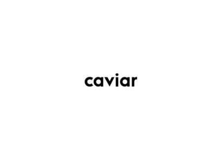 MARIMARCO DE ABAJO Yeguada y Ganadería Logotipos.
