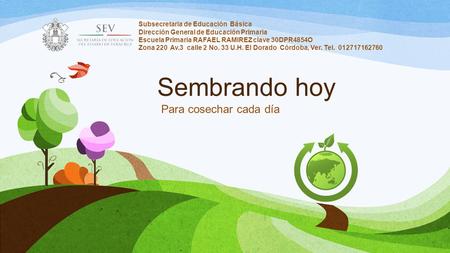 Sembrando hoy Para cosechar cada día Subsecretaria de Educación Básica