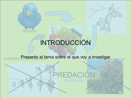 PREDACIÓN DISPERSIÓN DE SEMILLAS INTRODUCCIÓN Presento el tema sobre el que voy a investigar.