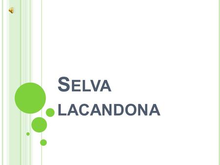 Selva lacandona.