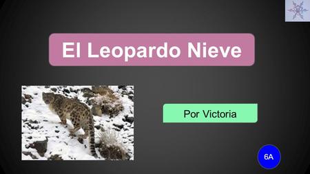 El Leopardo Nieve Por Victoria 6A.