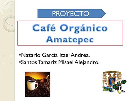 Café Orgánico Amatepec PROYECTO Nazario García Itzel Andrea.
