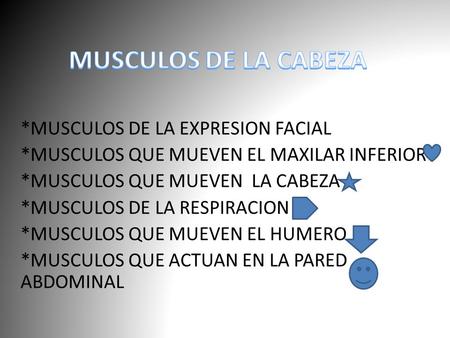 MUSCULOS DE LA CABEZA *MUSCULOS DE LA EXPRESION FACIAL