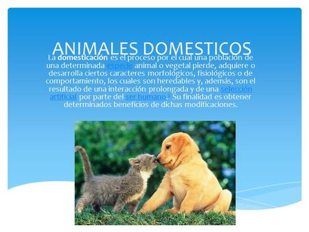 ANIMALES DOMESTICOS La domesticación es el proceso por el cual una población de una determinada especie animal o vegetal pierde, adquiere o desarrolla.