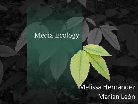 Melissa Hernández Marian León Media Ecology
