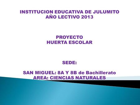 INSTITUCION EDUCATIVA DE JULUMITO AÑO LECTIVO 2013 PROYECTO HUERTA ESCOLAR SEDE: SAN MIGUEL: 8A Y 8B de Bachillerato AREA: CIENCIAS NATURALES.
