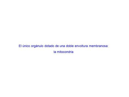 El único orgánulo dotado de una doble envoltura membranosa:
