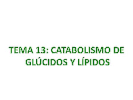 TEMA 13: CATABOLISMO DE GLÚCIDOS Y LÍPIDOS.