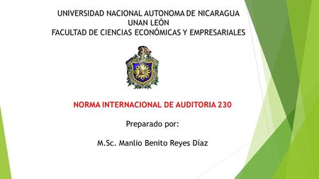 NORMA INTERNACIONAL DE AUDITORIA 230