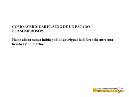 COMO AVERIGUAR EL SEXO DE UN PÁJARO ES ASOMBROSO!!! Hasta ahora nunca había podido averiguar la diferencia entre una hembra y un macho.
