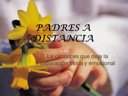 PADRES A DISTANCIA La cicatrices que deja la separación física y emocional.