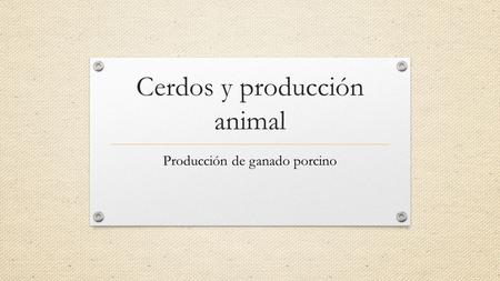 Cerdos y producción animal