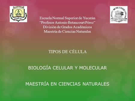 Escuela Normal Superior de Yucatán “Profesor Antonio Betancourt Pérez” División de Grados Académicos Maestría de Ciencias Naturales TIPOS DE CÉLULA BIOLOGÍA.