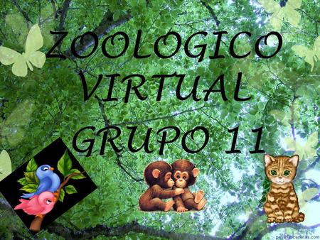 ZOOLOGICO VIRTUAL GRUPO 11.