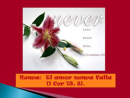 Nunca: El amor nunca falla (1 Cor 13, 8).. Regocíjate: El amor no se deleita en lo malo, sino que se regocija en la verdad (1 Cor 13, 6).