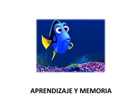 APRENDIZAJE Y MEMORIA. Aprendizaje y memoria Aprendizaje: – Cualquier cambio relativamente estable en el comportamiento como consecuencia de la experiencia.