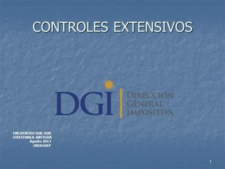 1 CONTROLES EXTENSIVOS ENCUENTRO SUR-SUR GUATEMALA-ANTIGUA Agosto 2013 URUGUAY.