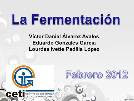 La Fermentación Febrero 2012 Víctor Daniel Álvarez Avalos