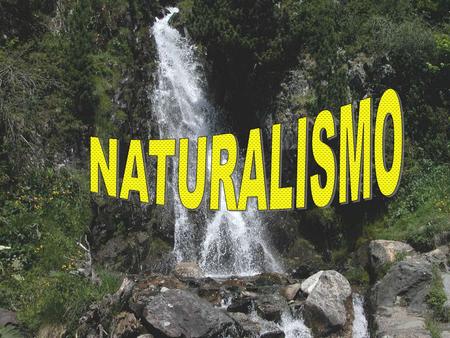 NATURALISMO PEDAGOGICO EDUCACIÓN NATURAL EDUCACIÓN conforme a LA NATURALEZA BASADA EN EL SUJETO COMO SER INDIVIDUAL SURGE ESPONTANEAMENTE, NO REQUIERE.