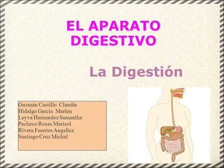 EL APARATO DIGESTIVO La Digestión