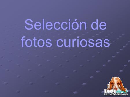 Selección de fotos curiosas. USA siempre ha mirado con recelo a Europa. Ahora entendemos por qué.