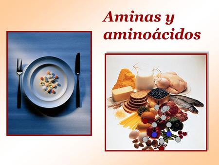 Aminas y aminoácidos.