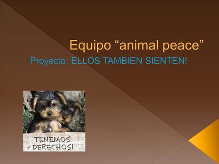  Nuestro proyecto busca concientizar y tratar de detener este fenómeno ya que causa daños graves en la sociedad y provoca que los niveles de agresión.