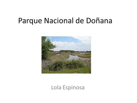 Parque Nacional de Doñana
