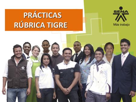 PRÁCTICAS RÚBRICA TIGRE