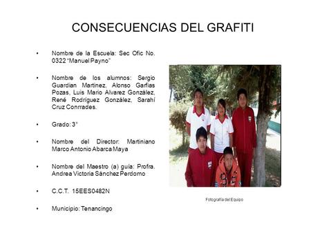 CONSECUENCIAS DEL GRAFITI