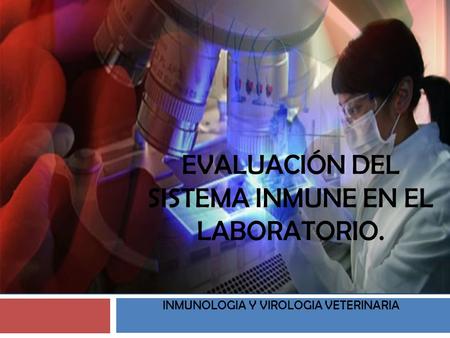 Evaluación del sistema inmune en el laboratorio.