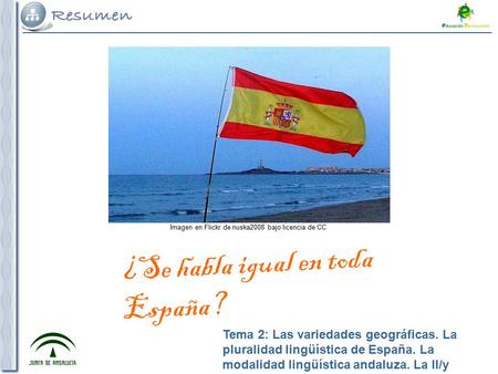 Tema 4: Aquí pondríamos el Título del tema Tema 2: Las variedades geográficas. La pluralidad lingüística de España. La modalidad lingüística andaluza.