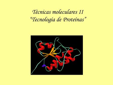 Técnicas moleculares II “Tecnología de Proteínas”