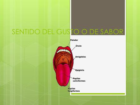 SENTIDO DEL GUSTO O DE SABOR