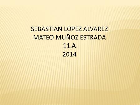 SEBASTIAN LOPEZ ALVAREZ