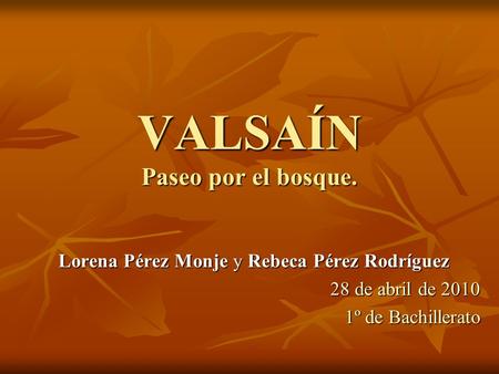 VALSAÍN Paseo por el bosque.