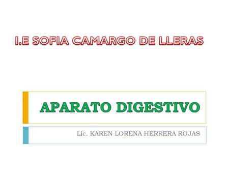 Lic. KAREN LORENA HERRERA ROJAS
