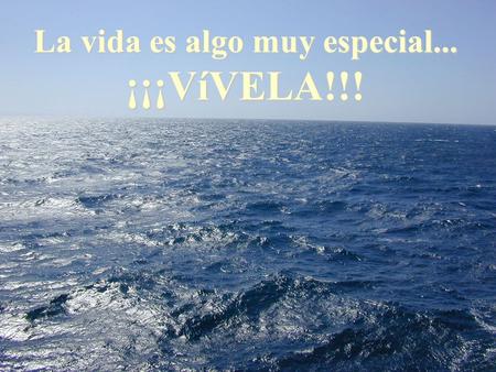 La vida es algo muy especial... ¡¡¡VíVELA!!! “Debe de haber algo extrañamente sagrado en la sal: Está en nuestras lágrimas y en el mar…” KHALIL GIBRAN.