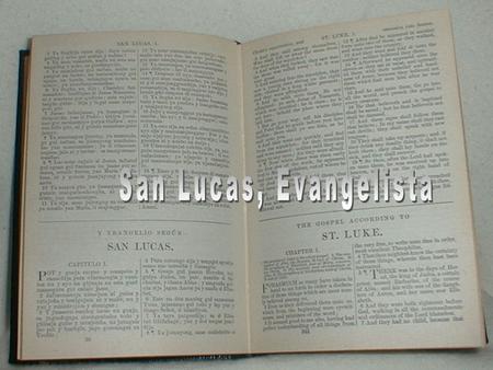 Permíteme, querido Lucas, que te formule unas preguntas y te haga también una petición.