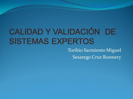 CALIDAD Y VALIDACIÓN DE SISTEMAS EXPERTOS