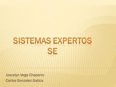Joscelyn Vega Chaparro Carlos Gonzalez Gatica.  Definición 1:  Es una aplicación informática capaz de solucionar un conjunto de problemas que exigen.