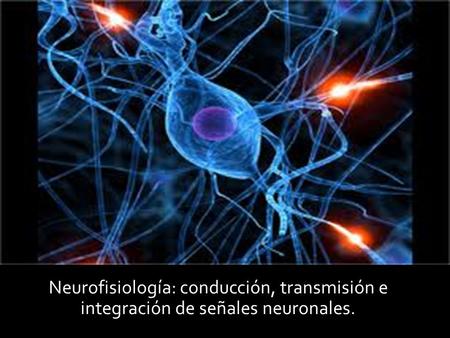 Neurofisiología: conducción, transmisión e integración de señales neuronales.