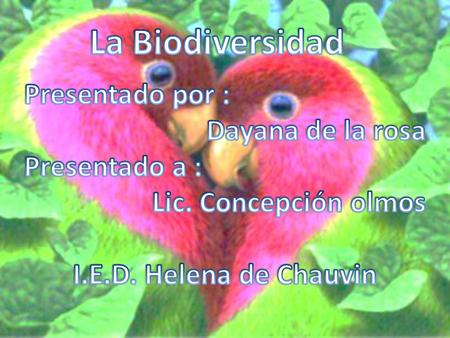La Biodiversidad Presentado por : Dayana de la rosa Presentado a :